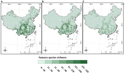 The Diversity Distribution and Climatic Niche of Samara Species in China